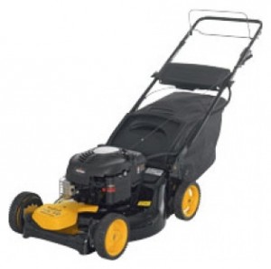 trimmer (self-propelled lawn mower) PARTNER 5551 CMD Photo review