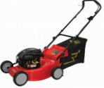 best DDE WYZ18-WD65  self-propelled lawn mower petrol rear-wheel drive review