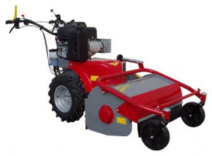 trimmer (self-propelled lawn mower) Meccanica Benassi TR 60 Hydro Photo review