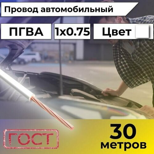 Провод автомобильной/для автомобильной проводки ПГВА 0,75 белый - 30 м. фото