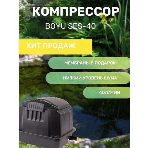 Компрессор SES 40 с комплектом мембран Boyu SES-40 фото