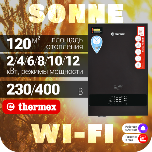 Электрический настенный котел THERMEX Sonne 12 Wi-Fi (Grey) фото