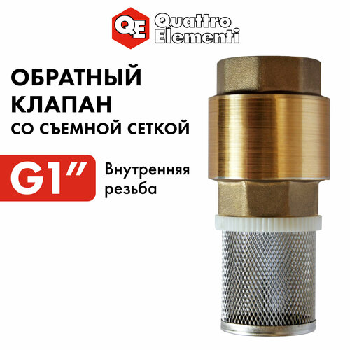 Обратный клапан QUATTRO ELEMENTI с несъемной сеткой, внутр. резьба 1