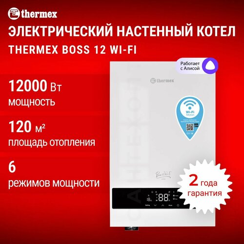 Электрический настенный котел THERMEX Boss 12 Wi-Fi (White) фото