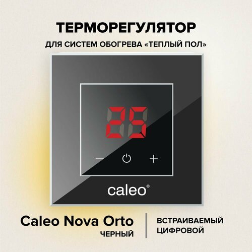 Терморегулятор Caleo Nova черный фото