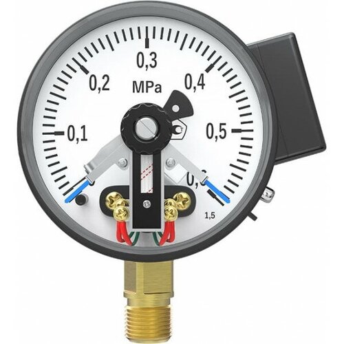 EctoControl, Датчик давления (манометр электроконтактный), G=1/2, 0-6 Атм фото