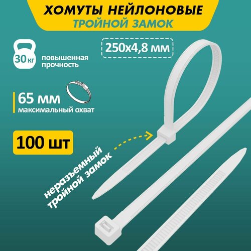 Стяжка кабельная (хомут стяжной) REXANT 67-0250-5 4.8 х  100 шт. фото