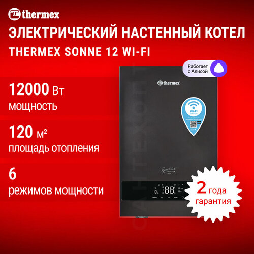 Электрический настенный котел Thermex Sonne 12 с Wi-Fi и двухконтурным отоплением фото