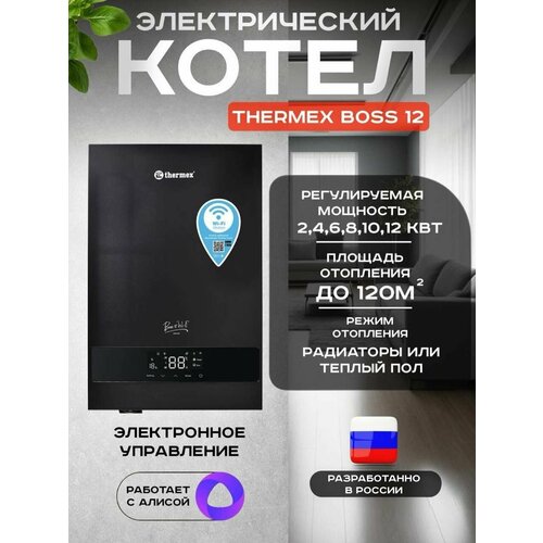 Котел электрический THERMEX Boss 12 Wi-Fi (Черный), дистанционное управление через Wi-FI, 6 вариантов мощности фото