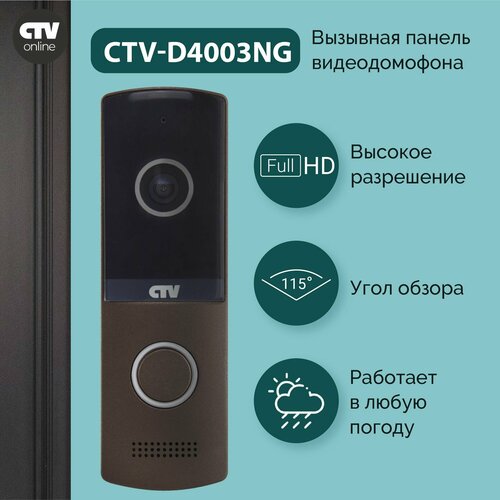 CTV-D4003NG Вызывная панель для видеодомофонов (графит) фото