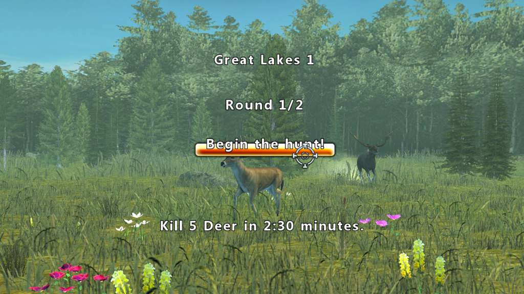 [$ 3.32] Deer Hunt Legends Steam CD Key