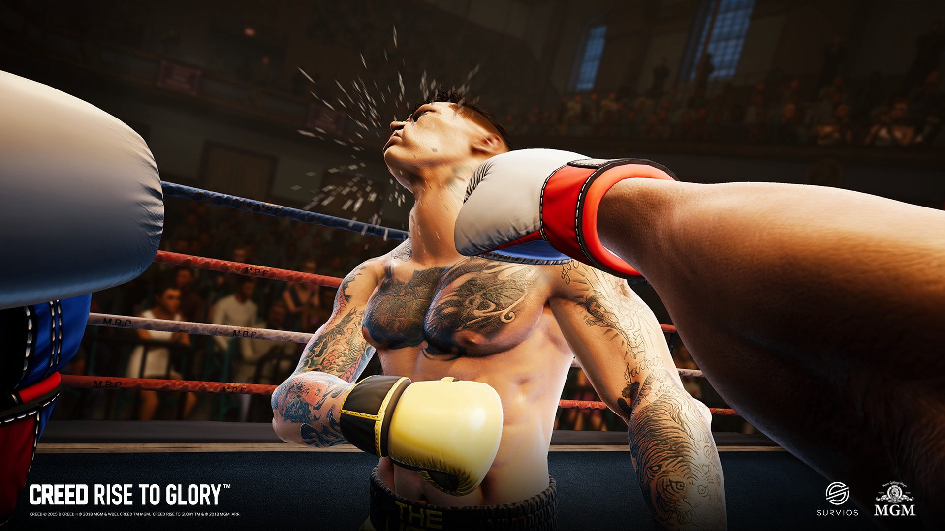[$ 10.71] Creed: Rise to Glory Steam CD Key