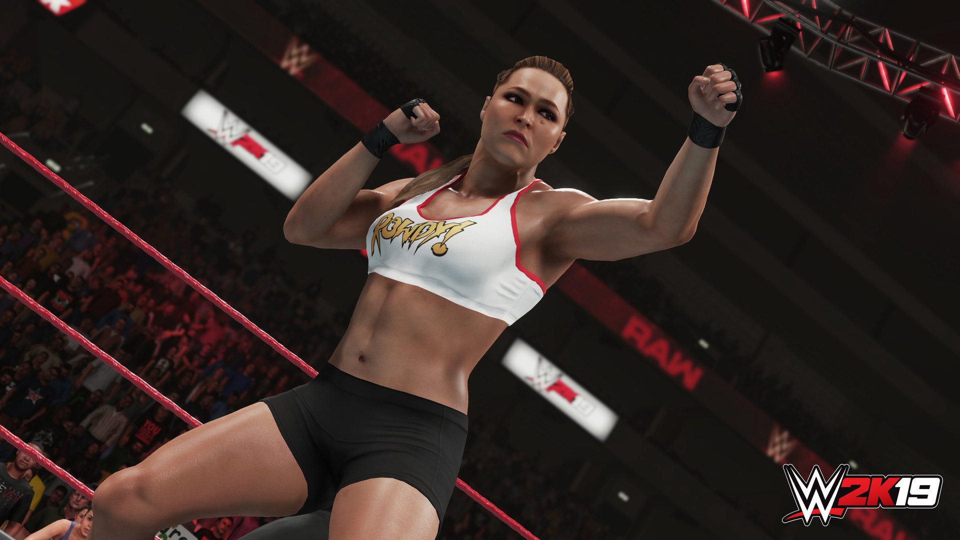 [$ 15.81] WWE 2K19 PlayStation 4 Account pixelpuffin.net Activation Link