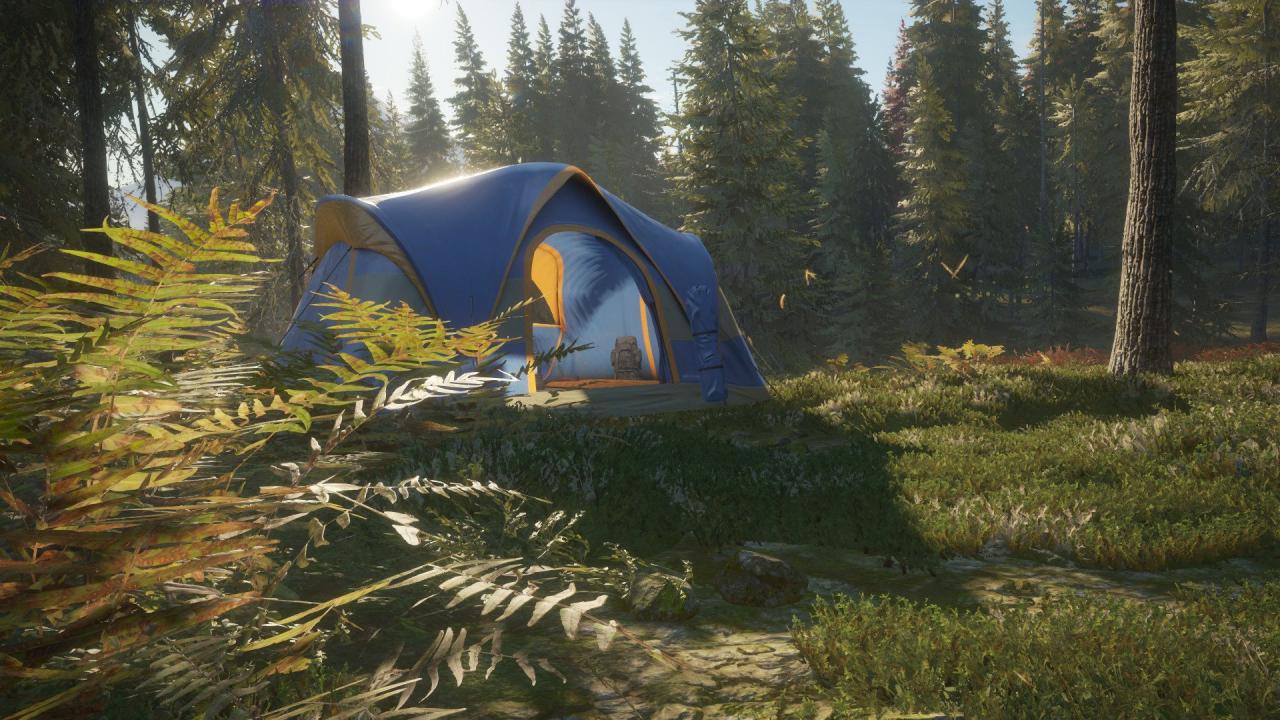 [$ 1.6] theHunter: Call of the Wild - Tents & Ground Blinds DLC Steam CD Key