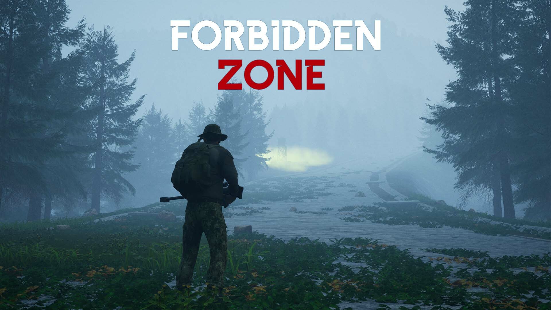 [$ 2.44] Forbidden zone Steam CD Key