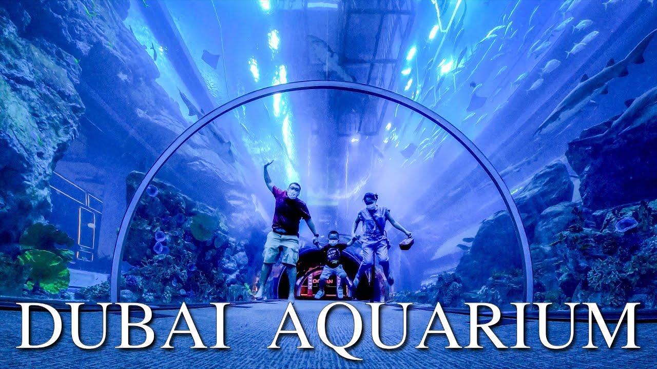[$ 16.02] Dubai Aquarium & Underwater Zoo 50 AED Gift Card AE