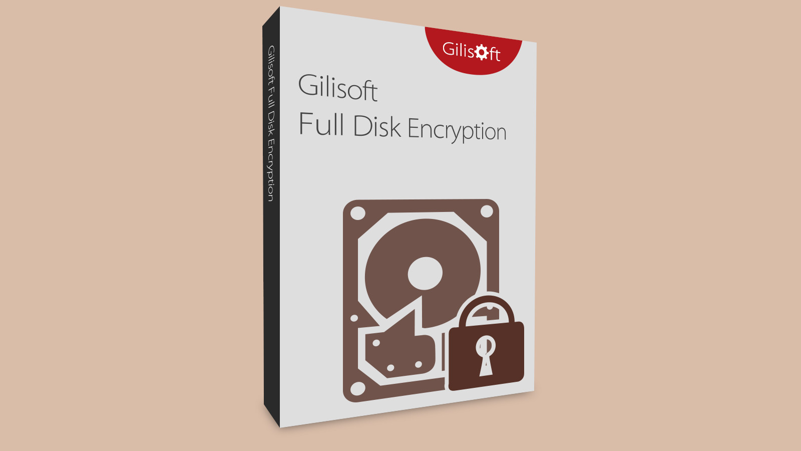 [$ 19.72] Gilisoft Full Disk Encryption CD Key