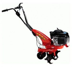 cultivator Eurosystems Z 2 B&S 450 Series Photo review