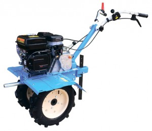 ﻿kultivator (walk-hjulet traktor) Workmaster МБ-2 Foto anmeldelse