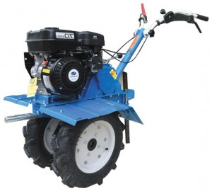 ﻿kultivator (walk-hjulet traktor) PRORAB GT 750 SU Foto anmeldelse