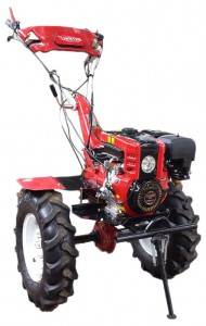 ﻿cultivateur (tracteur à chenilles) Shtenli Profi 1400 Pro Photo examen