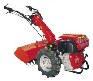 ﻿cultivateur (tracteur à chenilles) Meccanica Benassi MTC 620 (15LD440) Photo examen