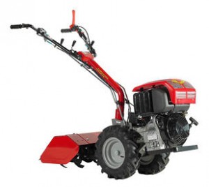 cultivator (walk-behind tractor) Meccanica Benassi MF 223 (15LD225) Photo review