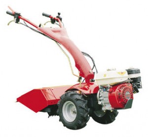 ﻿kultivator (walk-hjulet traktor) Meccanica Benassi MTC 601 Foto anmeldelse