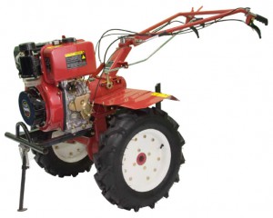 ﻿kultivator (walk-bak traktoren) Fermer FDE 905 PRO Bilde anmeldelse