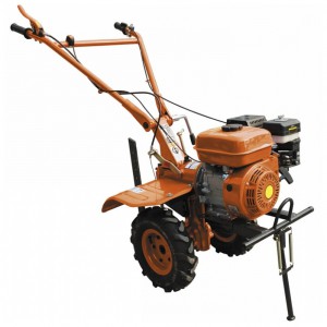 ﻿kultivator (walk-hjulet traktor) DELTA МББ-6,5/350 Foto anmeldelse