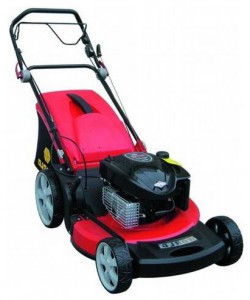 trimmer (self-propelled lawn mower) DDE WYZ22H-A Photo review