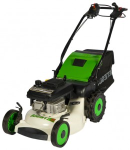 trimmer (self-propelled lawn mower) Etesia Pro 53 LH Photo review