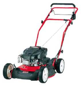 trimmer (self-propelled lawn mower) SABO JS 63 Photo review
