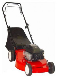 trimmer (self-propelled lawn mower) MegaGroup 5420 XST Photo review