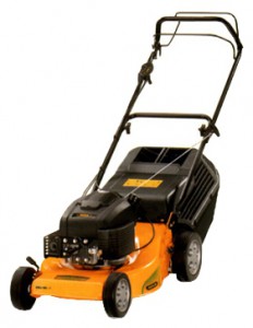 trimmer (lawn mower) ALPINA FL 46 LMG Photo review
