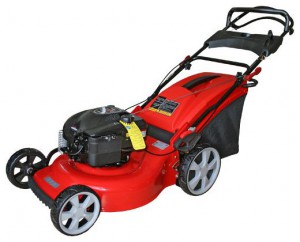 trimmer (self-propelled lawn mower) DDE WYZ20H2 Photo review