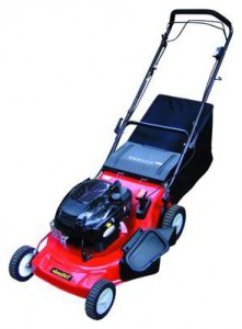 trimmer (self-propelled lawn mower) SunGarden RDS 536 Photo review