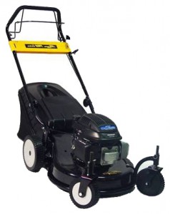 trimmer (self-propelled lawn mower) MegaGroup 5650 HHT Pro Line Photo review