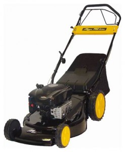 trimmer (self-propelled lawn mower) MegaGroup 5220 XQT Pro Line Photo review