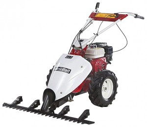 trimmer (hay mower) Tielbuerger T70 B&S Photo review
