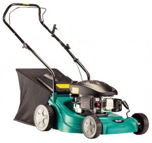 trimmer (lawn mower) GARDEN MASTER 40 PP Photo review
