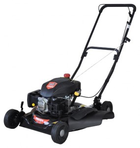 trimmer (lawn mower) Profi PBM51P Photo review