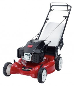 trimmer (self-propelled lawn mower) Toro 20314 Photo review