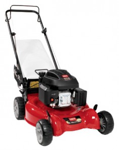 trimmer (lawn mower) Toro 20323 Photo review