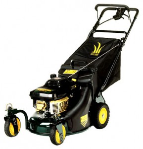 trimmer (self-propelled lawn mower) Yard-Man YM 6021 CK Photo review