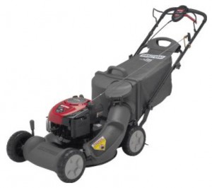 trimmer (self-propelled lawn mower) CRAFTSMAN 37701 Photo review