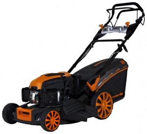 trimmer (self-propelled lawn mower) Daewoo Power Products DLM 5500 SVE Photo review