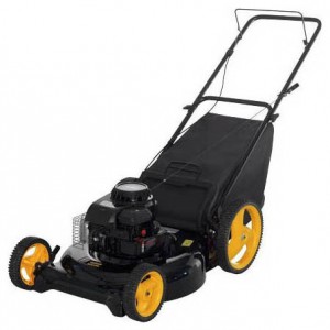 trimmer (lawn mower) PARTNER 4053 CM Photo review