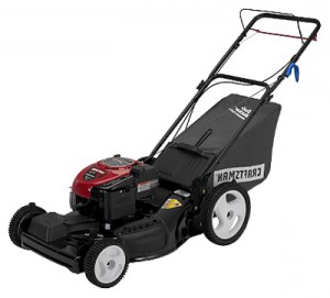 trimmer (self-propelled lawn mower) CRAFTSMAN 37646 Photo review