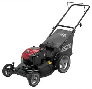 trimmer (lawn mower) CRAFTSMAN 38845 Photo review